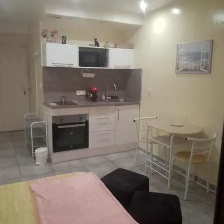 Διαμέρισμα Regina Κάννες